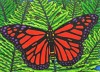 ACEO Art Card - Butterfly in the Ferns