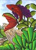 ACEO Art Card - Red Fish
